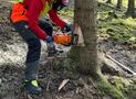 Technische Hilfe „Wald“: Fortbildung für 15 Einsatzkräfte